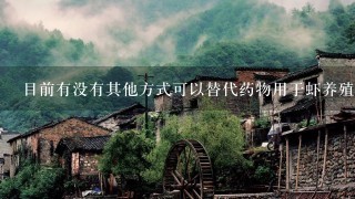 目前有没有其他方式可以替代药物用于虾养殖