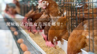 泥鳅的适宜温度范围是哪里