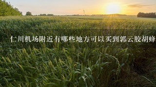 仁川机场附近有哪些地方可以买到郭云胶胡蜂