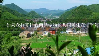 如果我打算让我两只宠物蛇共同居住在一个箱子里会发生什么问题吗