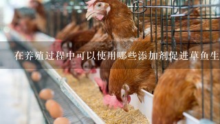 在养殖过程中可以使用哪些添加剂促进草鱼生长发育