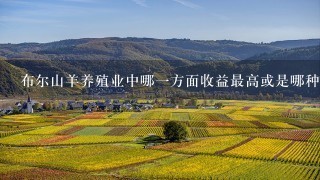 布尔山羊养殖业中哪一方面收益最高或是哪种养殖方式收益最高