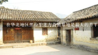 在华北地区黑山羊北方养殖基地是最大的养羊场