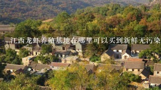 江西龙虾养殖基地在哪里可以买到新鲜无污染的龙虾呢