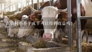 在农村中养牛或羊可以得到收益吗