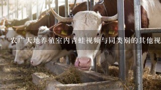 农广天地养殖室内青蛙视频与同类别的其他视频内容相比具有什么独特的卖点