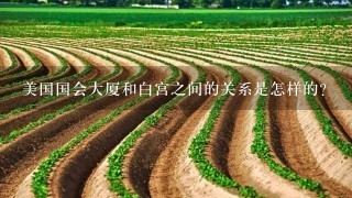 美国国会大厦和白宫之间的关系是怎样的