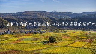 如何在我的鹿养殖基地中获得高质量的新鲜鹿肉和鹿茸呢