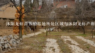 沐阳龙虾苗养殖基地所处区域与沐阳龙虾产卵地点的关系是怎样的