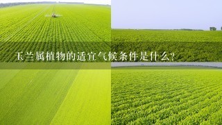 玉兰属植物的适宜气候条件是什么