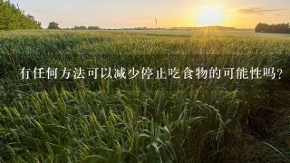 有任何方法可以减少停止吃食物的可能性吗