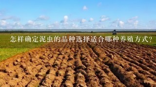 怎样确定泥虫的品种选择适合哪种养殖方式