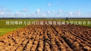 使用哪种方法可以最大限度地减少罗氏虾在养殖环境中所面临的风险和疾病传播的可能性