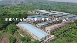 福建石蛙养殖技术中常见的问题是什么