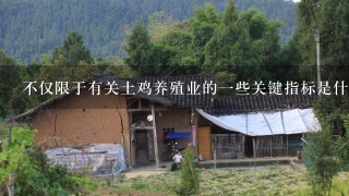 不仅限于有关土鸡养殖业的一些关键指标是什么