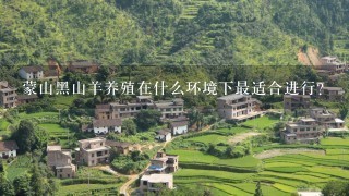 蒙山黑山羊养殖在什么环境下最适合进行