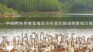 中国鳄鱼养殖基地是否有效控制动物繁殖以保持种群量稳定或增加物种多样性吗