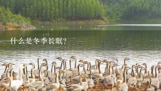 什么是冬季长眠