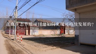 莲藕生态养殖项目是如何实现可持续发展的