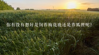 你有没有想好是饲养梅花鹿还是养狐狸呢