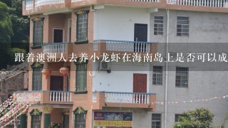 跟着澳洲人去养小龙虾在海南岛上是否可以成功种植