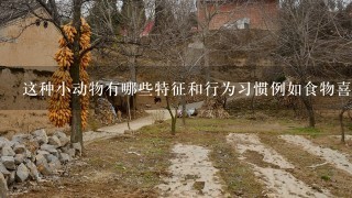 这种小动物有哪些特征和行为习惯例如食物喜好栖息地偏好等