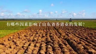 有哪些因素影响了山东省养猪业的发展