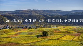 如果我们让小牛在山坡上时保持这个姿态又想让它们在山路上行进的话这些动物会采取什么策略呢