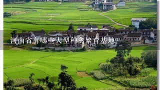 河南省有哪些大型种禽繁育基地