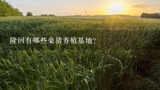 隆回有哪些豪猪养殖基地