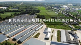 中国鳄鱼养殖基地拥有哪种数量级的鳄鱼养殖方式生存环境以及它们在市场中的价格水平如何呢