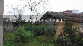 青蟹淡化养殖中使用淡水还是海水