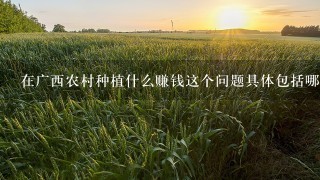 在广西农村种植什么赚钱这个问题具体包括哪些内容呢