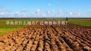 草鱼在什么地方广泛种植和养殖