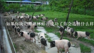 如果你决定养殖林蛙并成功了你会选择什么样的肥料来培育这些小动物