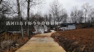 清河口市干虾今年价格如何