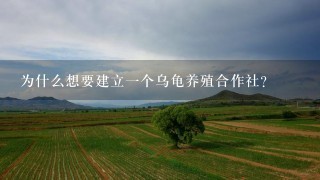 为什么想要建立一个乌龟养殖合作社