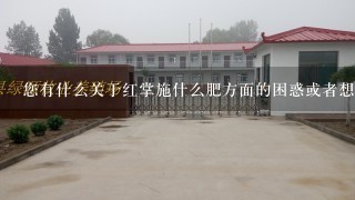 您有什么关于红掌施什么肥方面的困惑或者想了解的具体点