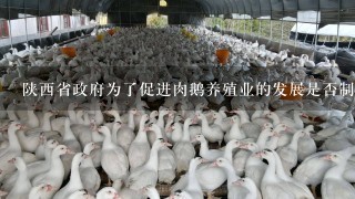 陕西省政府为了促进肉鹅养殖业的发展是否制定了相应的政策支持措施