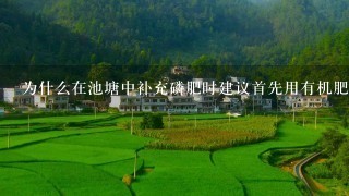 为什么在池塘中补充磷肥时建议首先用有机肥料代替无机肥料