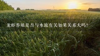 龙虾养殖是否与水流有关如果关系大吗