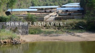 何祚庥和徐上青为什么在山东