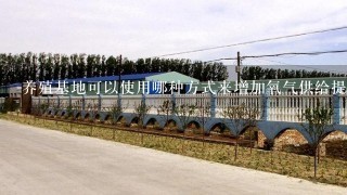 养殖基地可以使用哪种方式来增加氧气供给提高鱼的成长速度