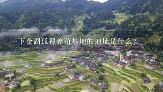 一下金湖狐狸养殖基地的地址是什么