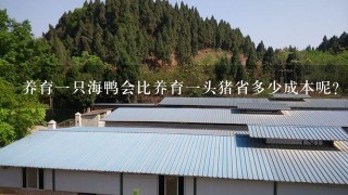 养育一只海鸭会比养育一头猪省多少成本呢