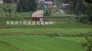 养殖肉牛的前景究竟如何