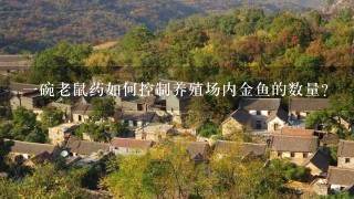 一碗老鼠药如何控制养殖场内金鱼的数量