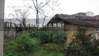 月免与人类相处是什么体验