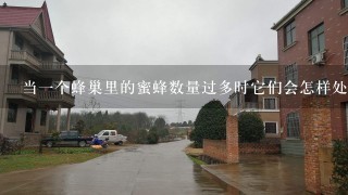 当一个蜂巢里的蜜蜂数量过多时它们会怎样处理呢