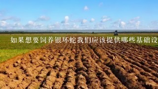 如果想要饲养银环蛇我们应该提供哪些基础设施和设备